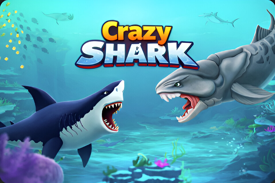 Crazy Shark