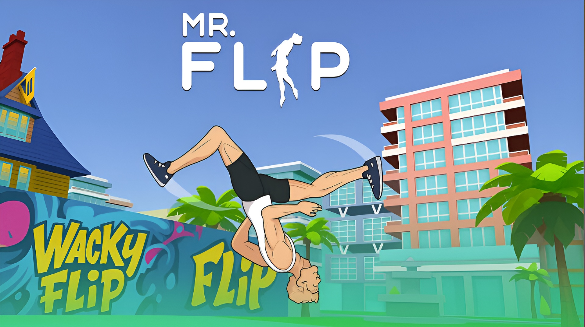 Mr Flip